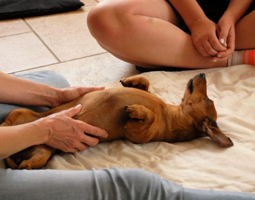 Shiatsu